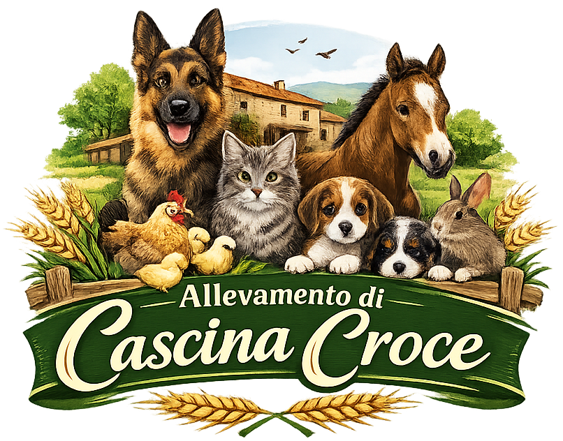 Allevamentodicascinacroce.it