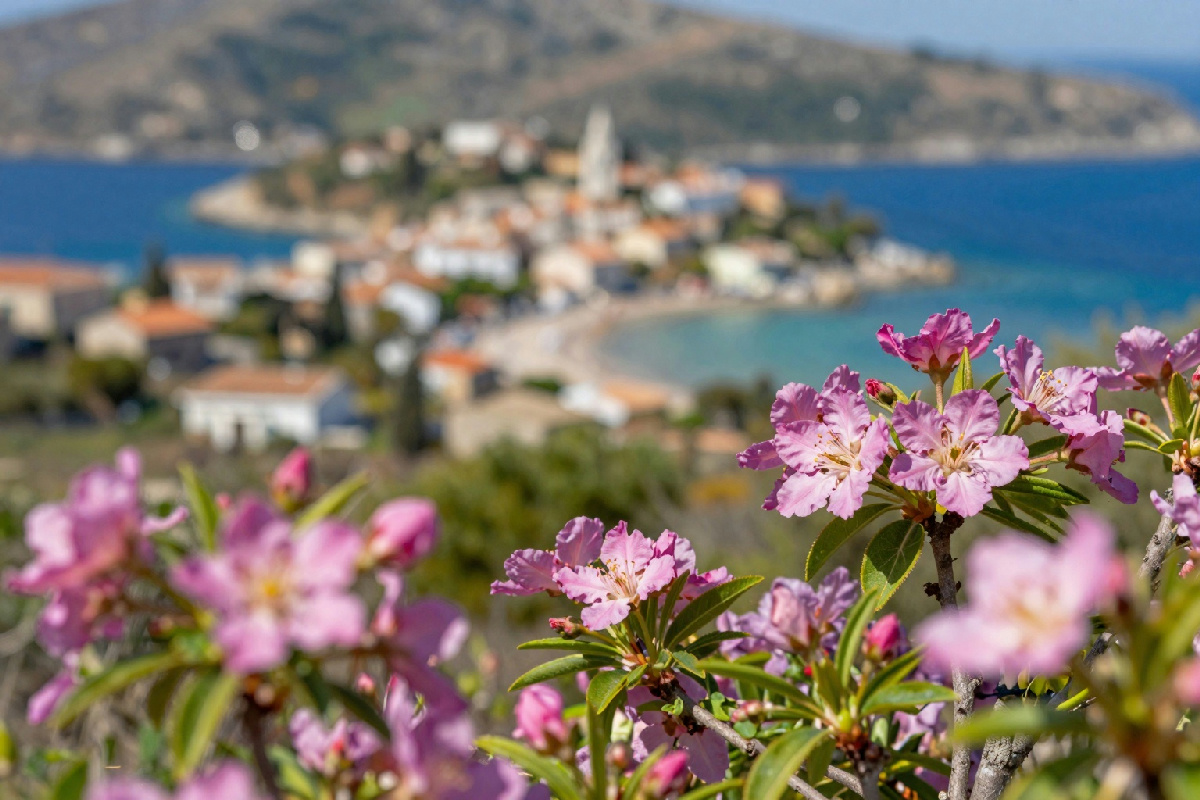 Partenze speciali per l'isola di Giannutri: scopri un'esperienza unica in Toscana questa primavera